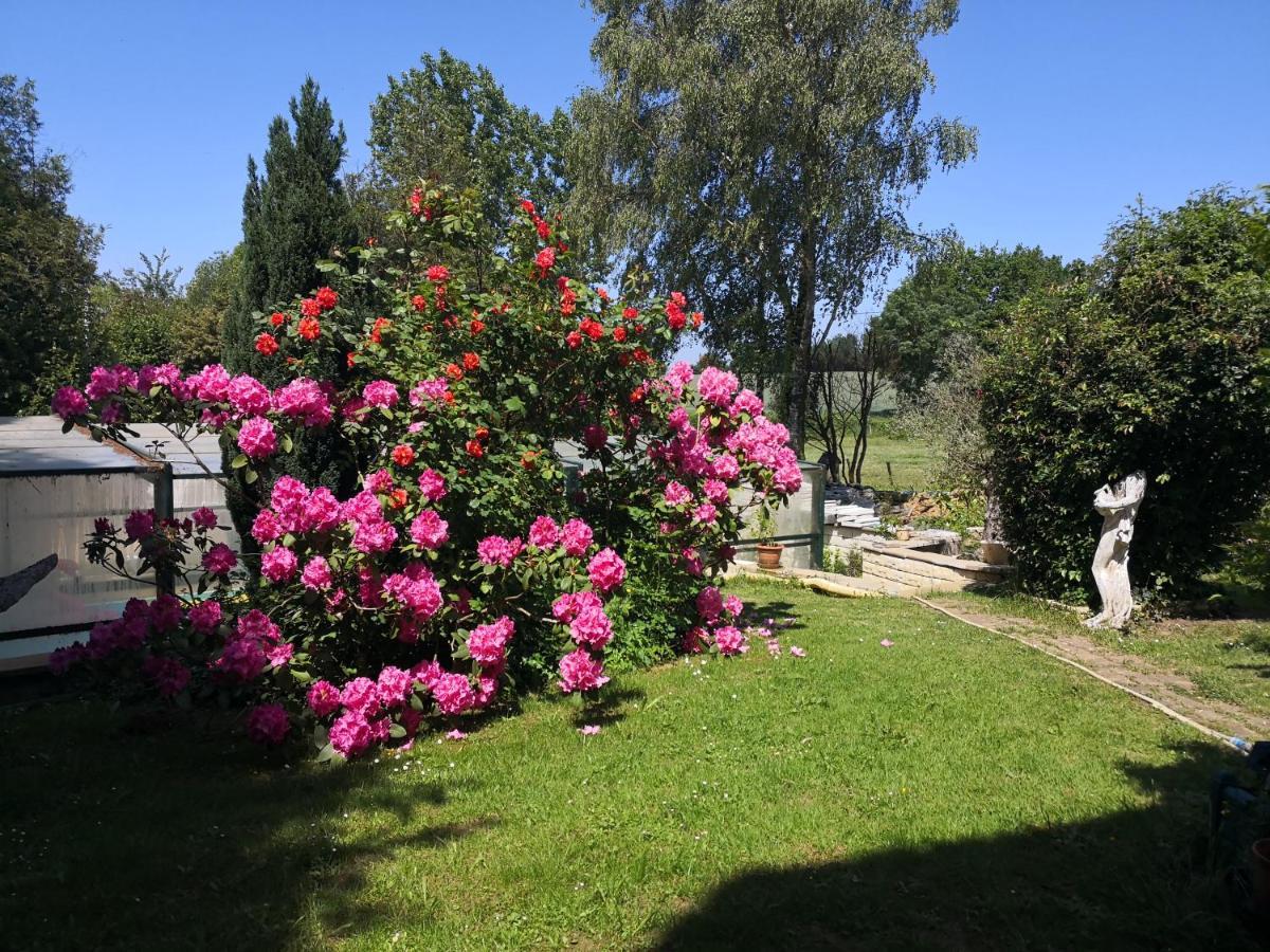 Au Jardin Fleuri Bed & Breakfast Secondigny Exterior foto